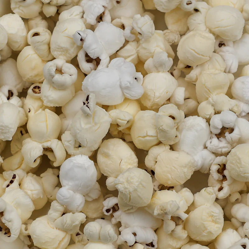 Purple Popcorn (Tender, Less Hulls, More Flavor & Higher in Antioxidants)