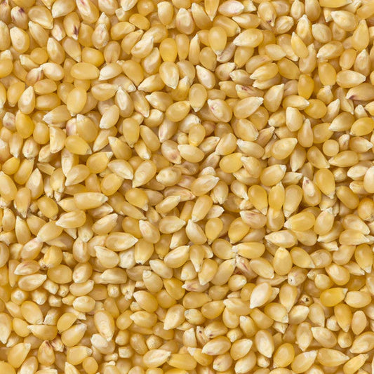 Baby White Popcorn (Extra Small & Tender)  14oz