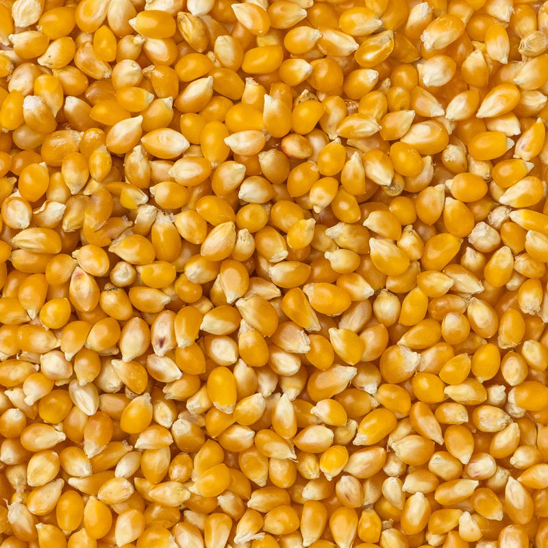 Baby Yellow Popcorn (Tender w/ Less Hulls) 14oz