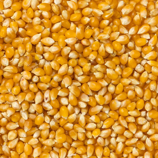 Baby Yellow Popcorn (Tender w/ Less Hulls) 14oz