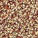 Purple Popcorn (Tender, Less Hulls, More Flavor & Higher in Antioxidants)