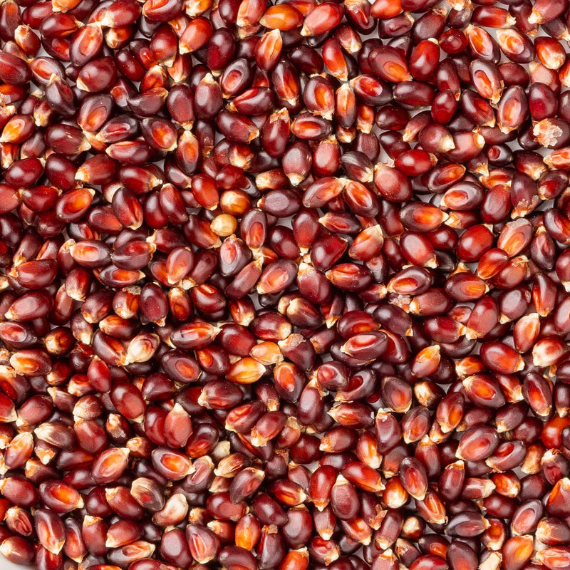 Red Popcorn (Fewer Hulls) 14 oz